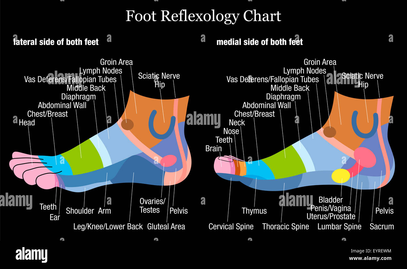 La riflessologia plantare grafico - dentro e fuori vista dei piedi - con la descrizione dei corrispondenti organi interni e le parti del corpo. Foto Stock