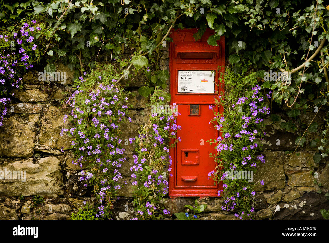 Contenitore rosso di alberino Foto Stock