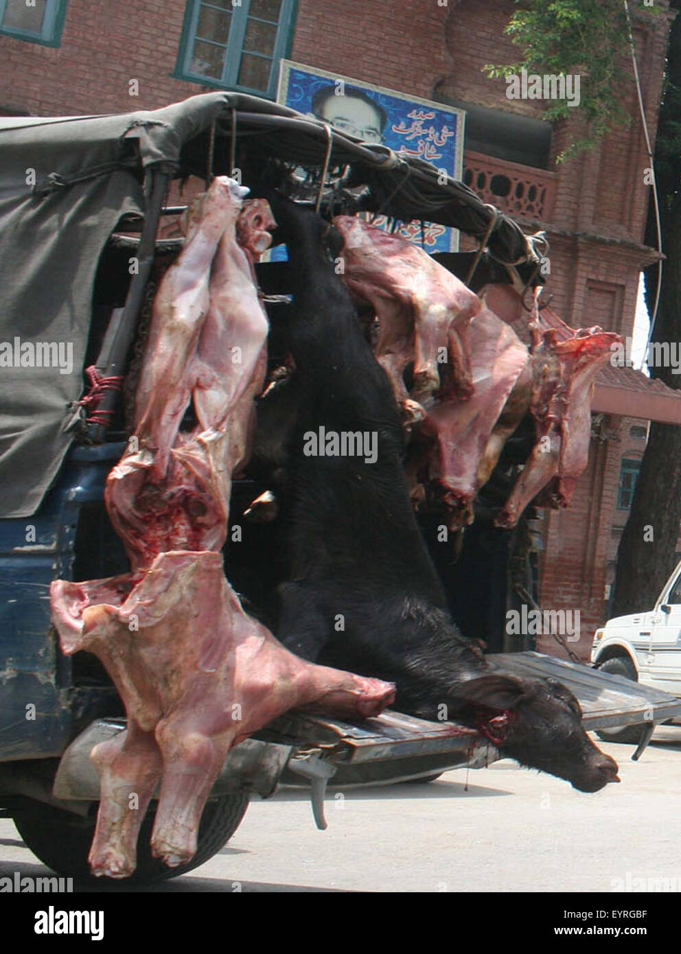 Dipartimento di bestiame razziato un macello e recuperati e minorenni di vitelli macellati' carne che è illegale a vendere, a Lahore Lunedì, Agosto 03, 2015. Credito: Babar Shah PPI/images/Alamy Live News Foto Stock