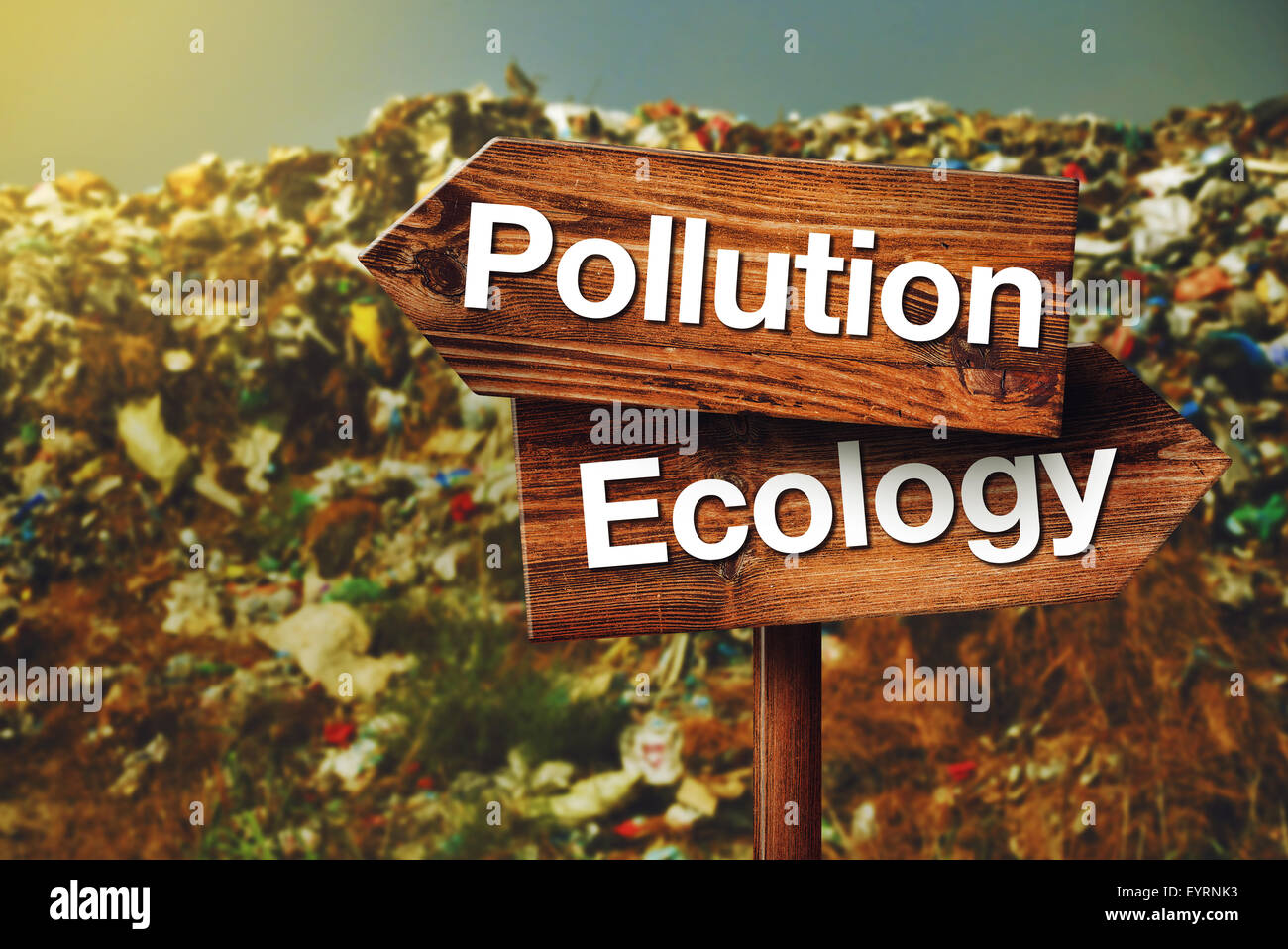 Inquinamento o il concetto di ecologia di scelta, rustico opposta direzione cartello in legno a discarica di rifiuti Foto Stock