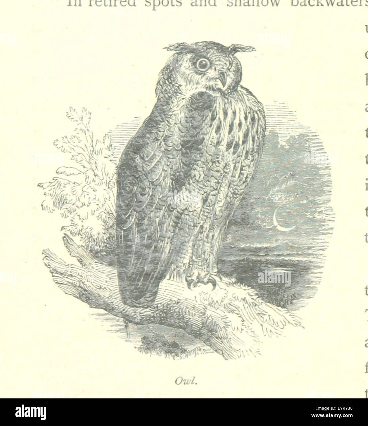 Immagine tratta da pagina 188 di "il Tamigi dalla sorgente al mare", con un'incisione o un'incisione raffigurante una vista del fiume Tamigi, che mostra i paesaggi e i monumenti lungo il suo corso. Foto Stock