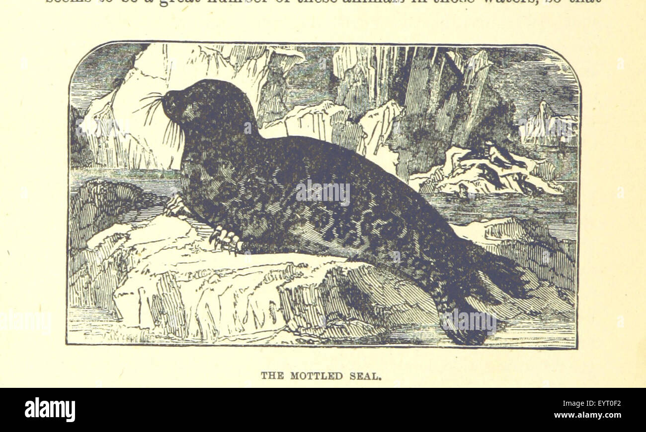 Un'immagine tratta da "Our North Land", un resoconto storico che descrive il nord-ovest canadese, la rotta della Baia di Hudson e la spedizione della Baia di Hudson del 1884, con illustrazioni che raffigurano i momenti e i luoghi chiave. Foto Stock