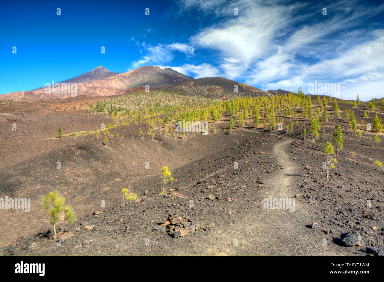 Paesaggio vulcanico nel Parco Nazionale del Teide, vista del Teide, Tenerife, Spagna Foto Stock