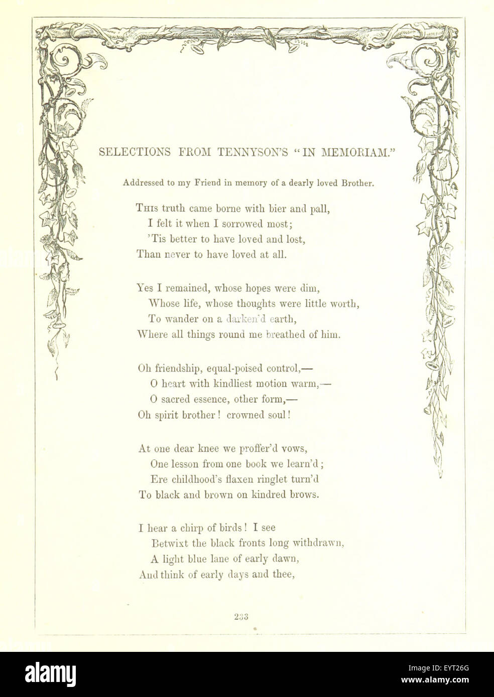 Un'immagine tratta da "Fiori dell'amicizia", che cattura un'illustrazione originale o una fotografia che riflette il tema dell'amicizia, con un significato culturale o storico. Foto Stock