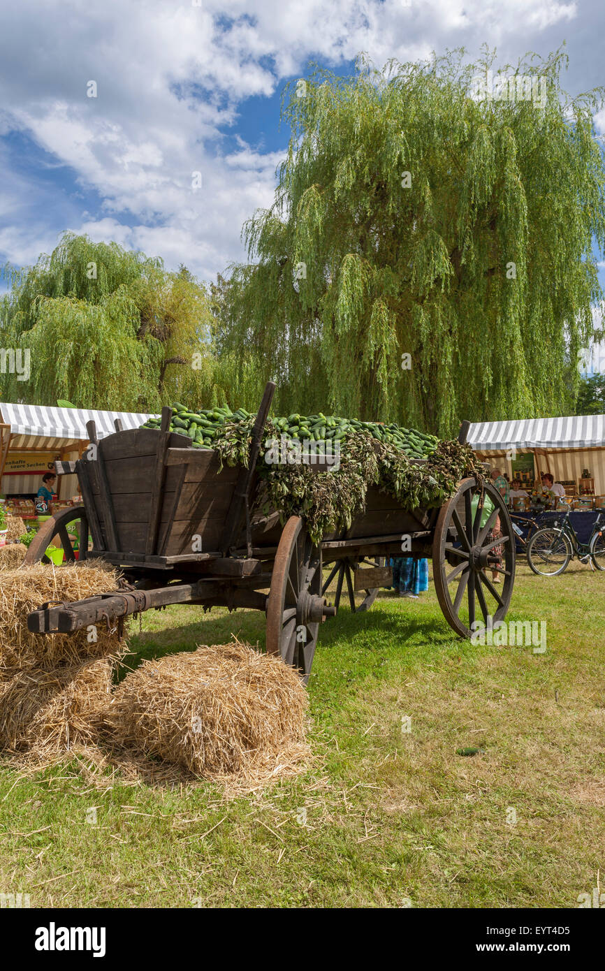 L'Europa, Germania, Brandeburgo, Spreewald (foresta di Sprea), Lübbenau, protezione festival, storico dei carrelli in legno con cetrioli Foto Stock