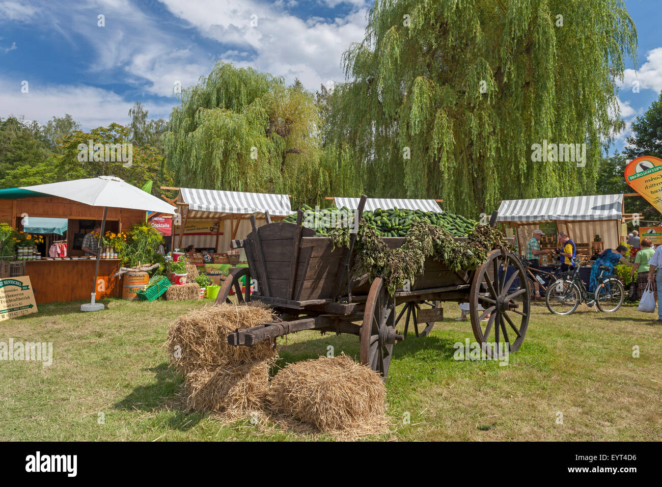 L'Europa, Germania, Brandeburgo, Spreewald (foresta di Sprea), Lübbenau, protezione festival, storico dei carrelli in legno con cetrioli Foto Stock