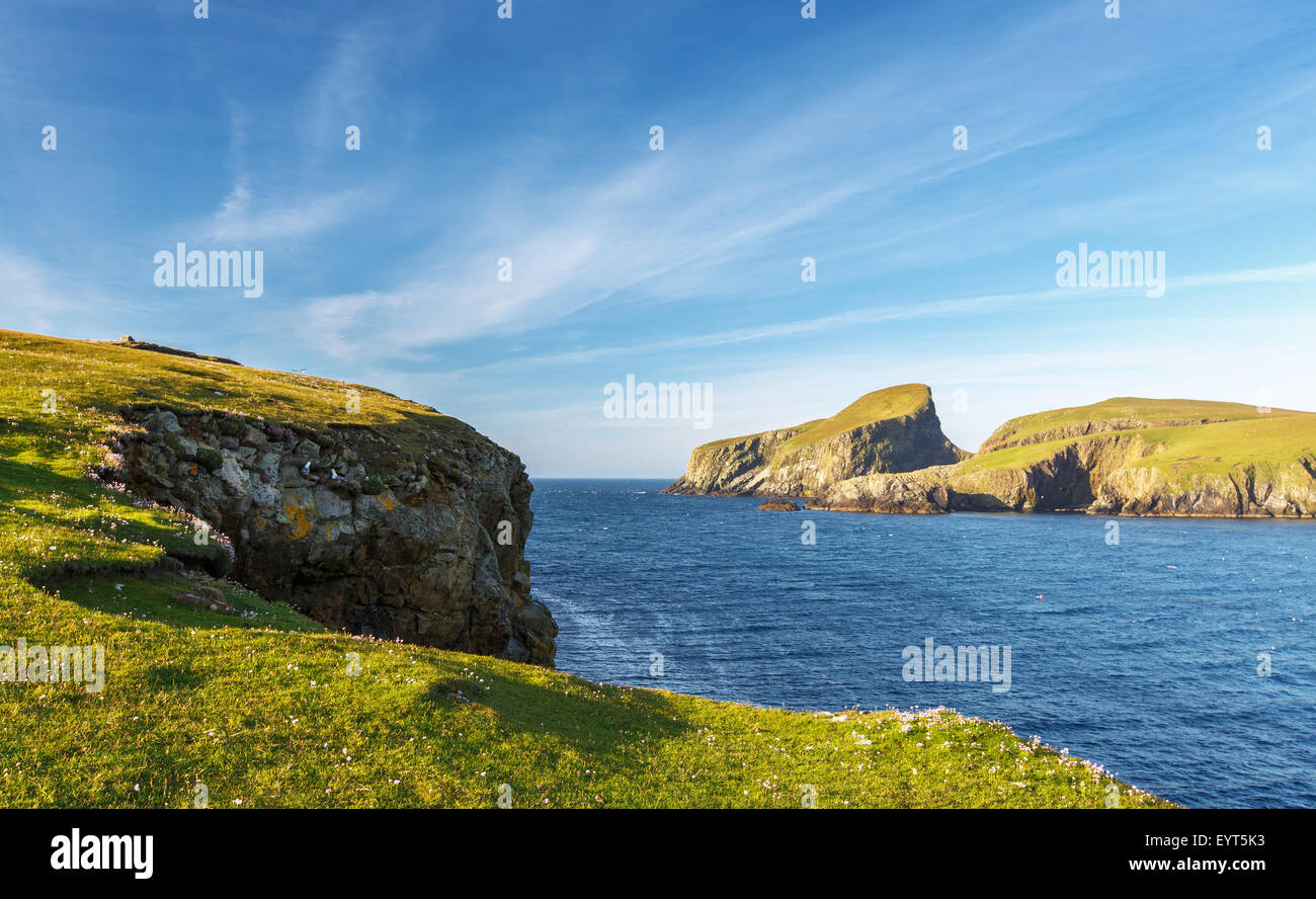 Pecore rock sul Fair Isle, un'isola nell'Oceano Atlantico tra le Orcadi e Shetland Foto Stock