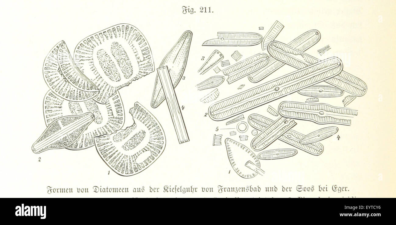 Un'immagine tratta da "Unser Wissen von der Erde", raffigurante una mappa dettagliata o un'illustrazione relativa alla geografia fisica e alle regioni globali come spiegato nel testo scientifico. Foto Stock