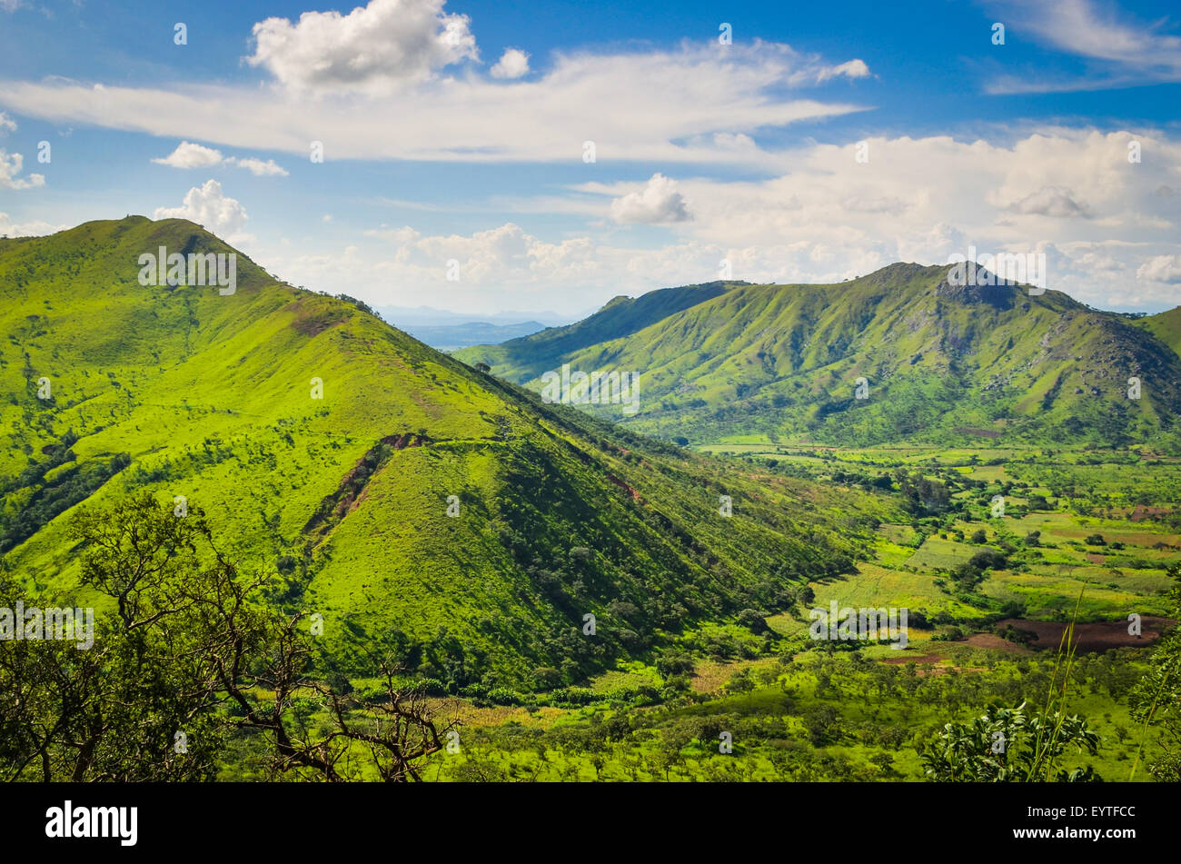 Il verde lussureggiante della provincia di Benguela in Angola, vicino Chicuma Foto Stock