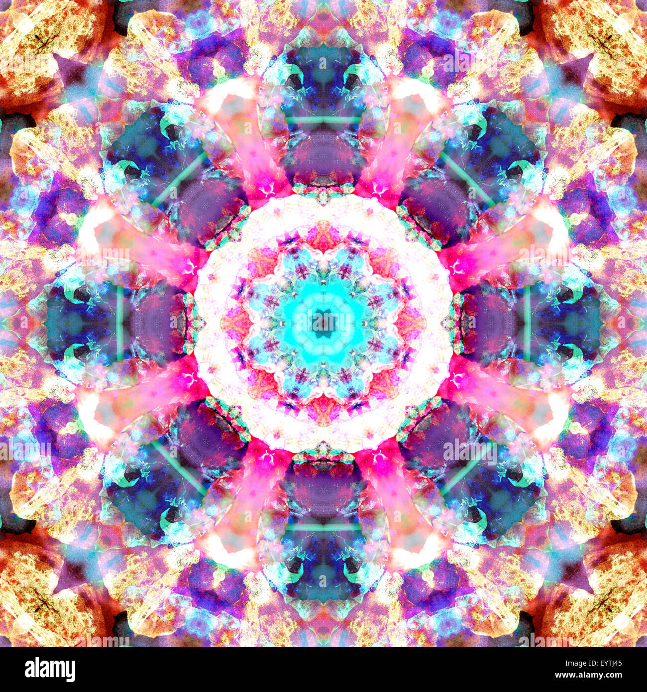 La composizione di fiori in un mandala ornamento Foto Stock