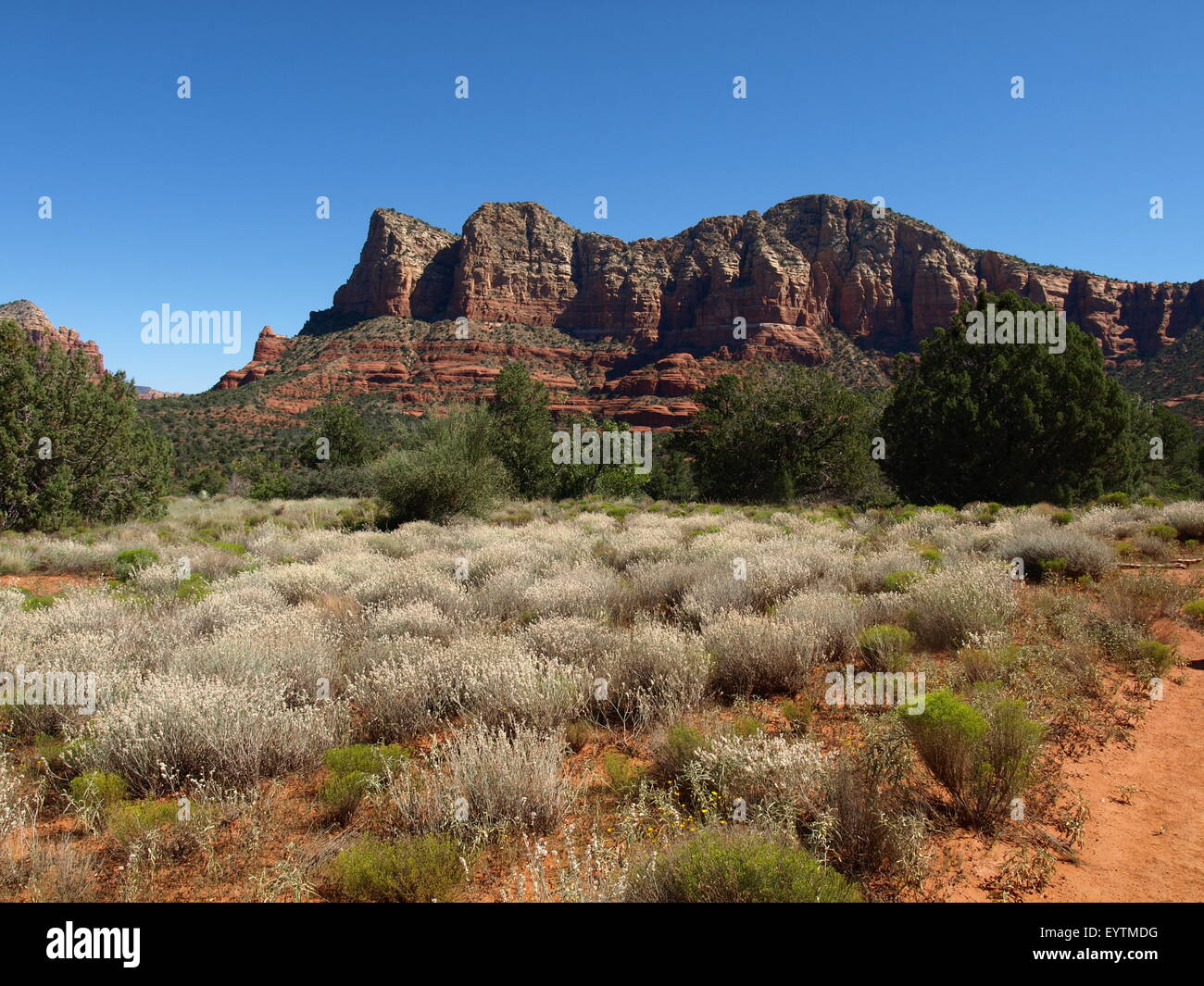 Paesaggio Red-Rock Foto Stock