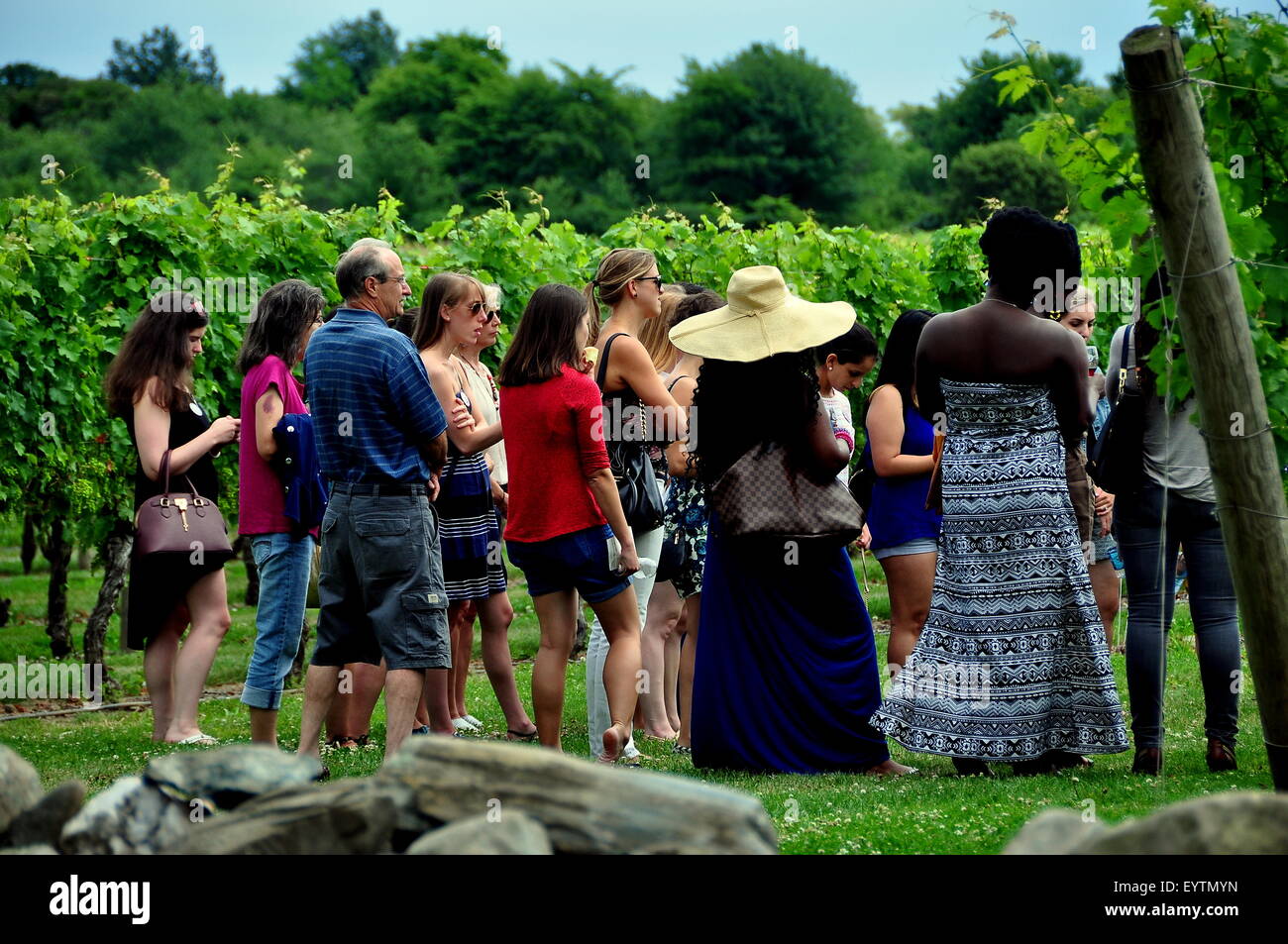Middletown, Rhode Island: i visitatori in un tour presso il rinomato Newport CANTINA VIGNETI imparare circa la viticoltura Foto Stock