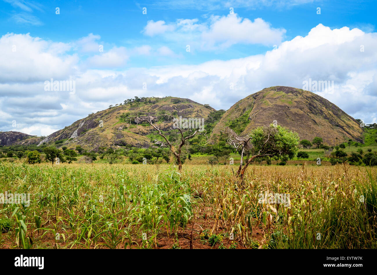 Montagne e campi di mais nella provincia di Benguela, Angola Foto Stock