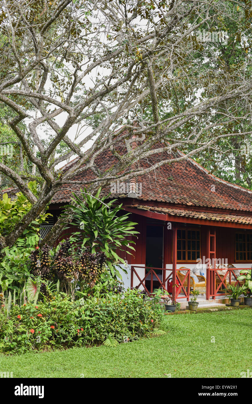 Tropicale di legno bungalow con giardino. Foto Stock