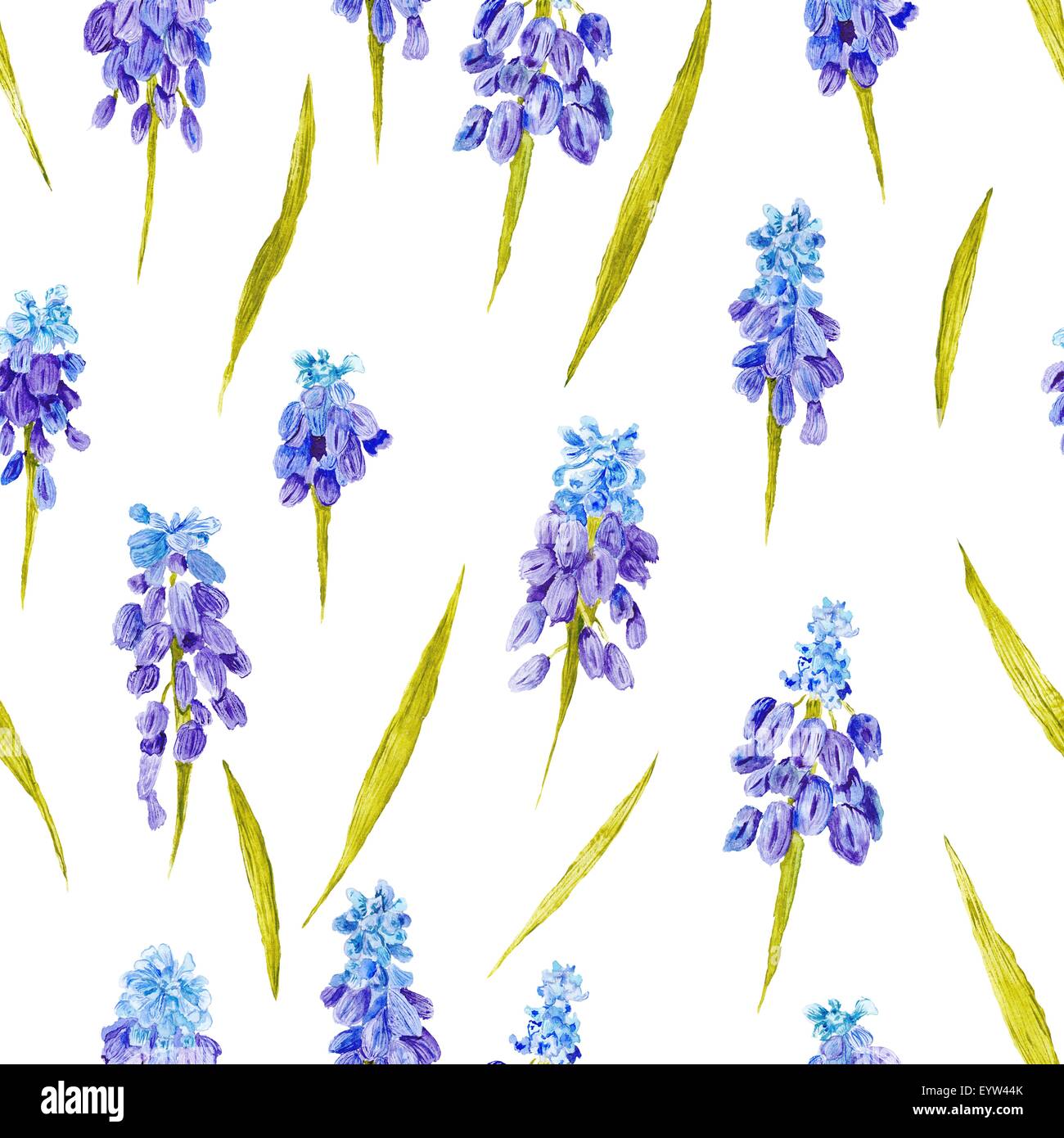 Seamless floreale con sfondo blu e viola muskari fiori Foto Stock