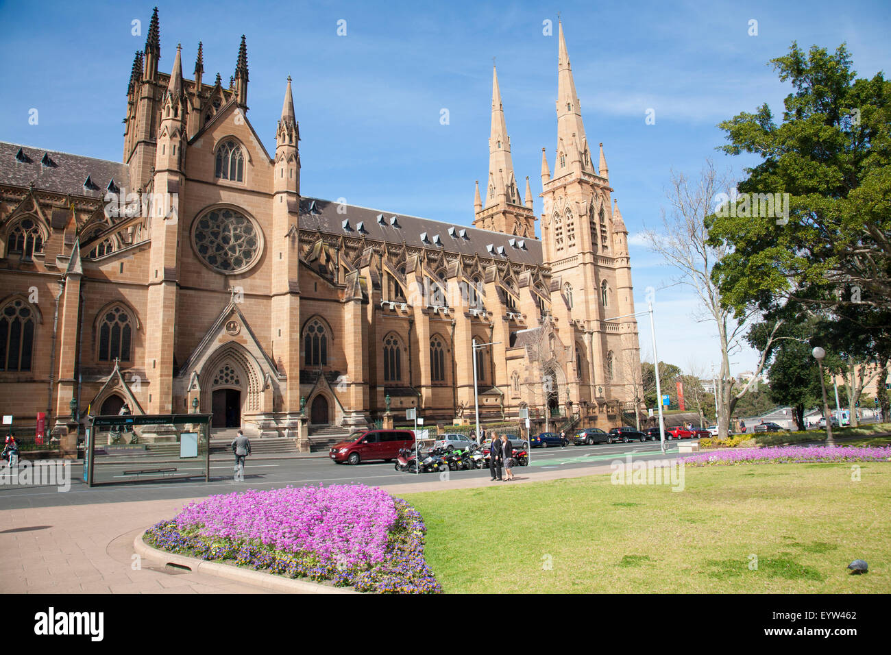 St Marys Cathedral di Sydney fu costruito nel 1868 , è la cattedrale della Chiesa Cattolica Romana l Arcidiocesi di Sydney, Australia Foto Stock