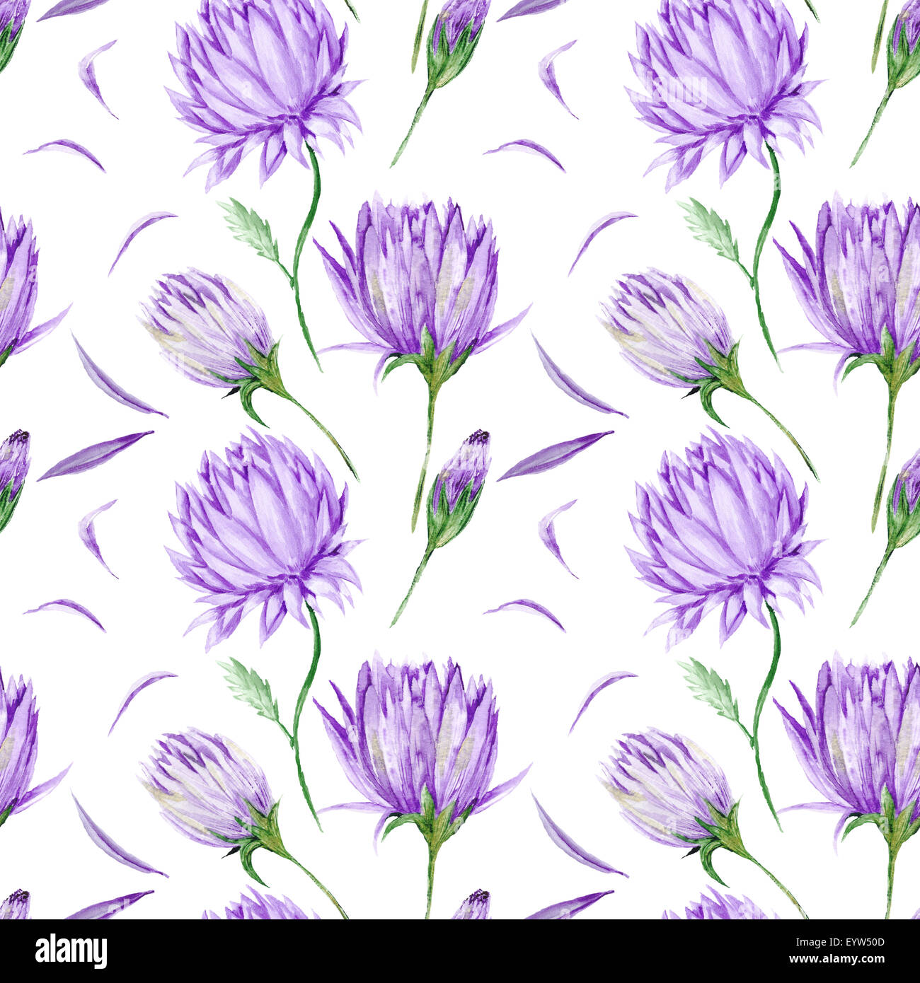 Arte creative acquerello su carta da parati con dipinte a mano e fiori viola isolato su sfondo bianco per la progettazione Foto Stock