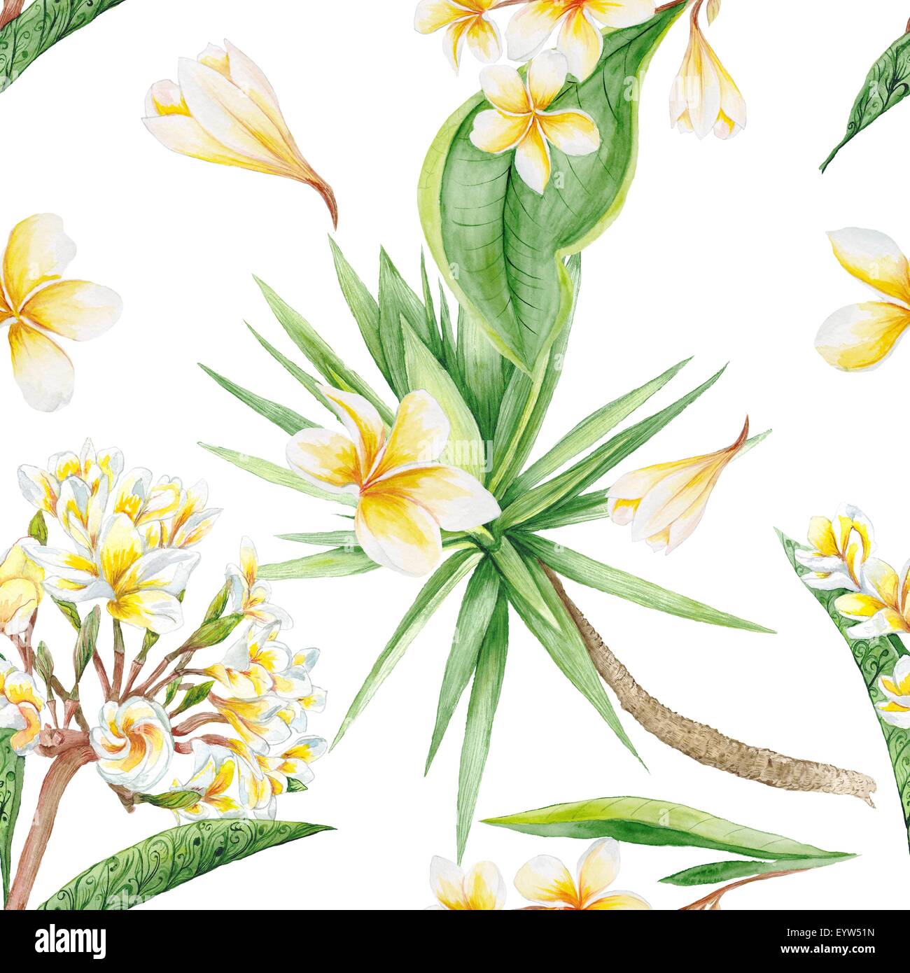 Dipinte a mano e acquerello illustrazione botanica con fiori di plumeria e yucca albero su sfondo bianco per il design tessile Foto Stock