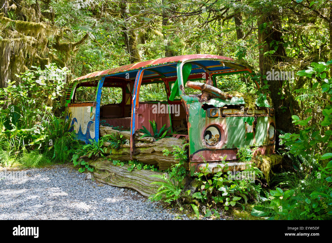 Fatiscente bus Volkswagen dipinte a vivaci colori hippie, essendo ricoperta da piante a Tofino Giardino Botanico. Foto Stock