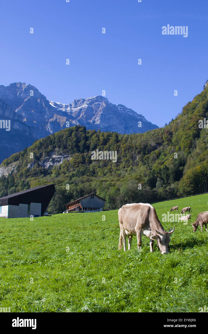 Una pace piena scena in Svizzera Foto Stock