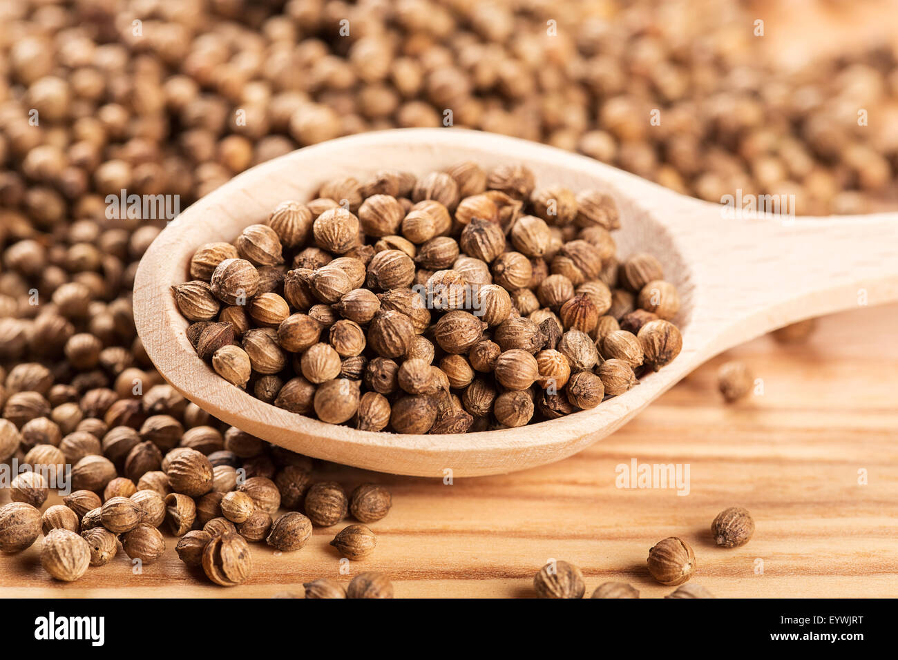 Close up di secche semi di coriandolo in il cucchiaio di legno sul tavolo di legno Foto Stock