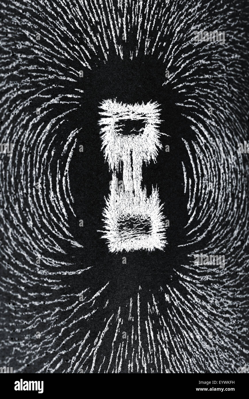 Attrazione e repulsione ferro particelle metalliche allineare lungo i campi magnetici delle linee create da ferro di cavallo magnete Foto Stock