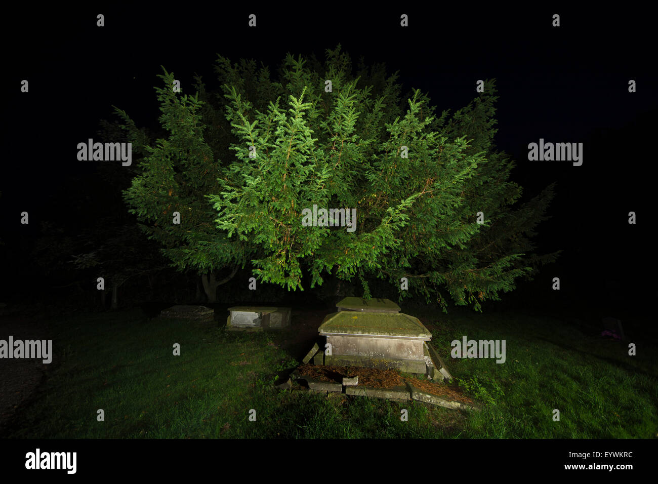 Chiesa del Cimitero di cantiere graves Yew Tree notte Foto Stock