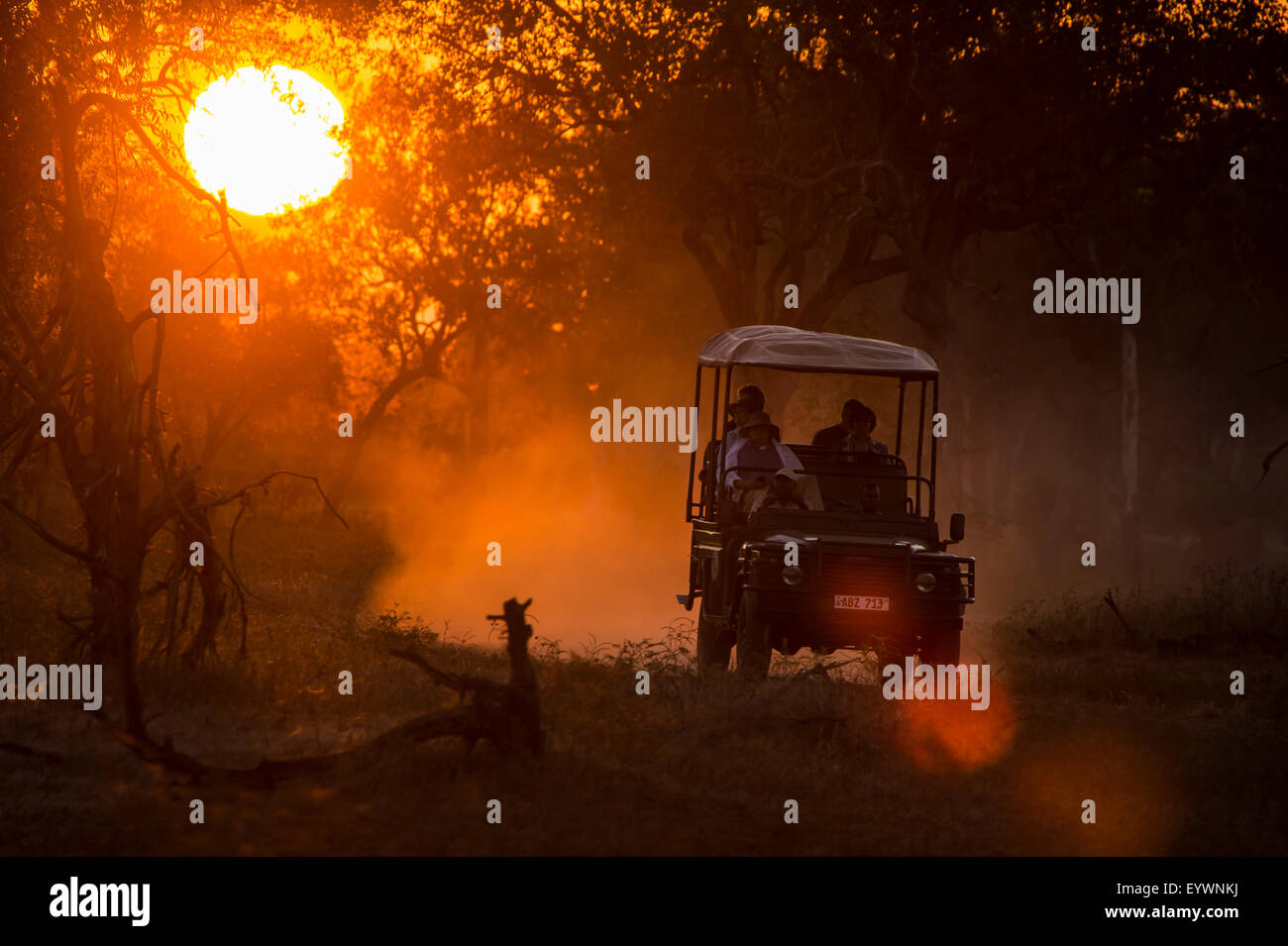 Jeep in controluce al tramonto, South Luangwa National Park, Zambia, Africa Foto Stock