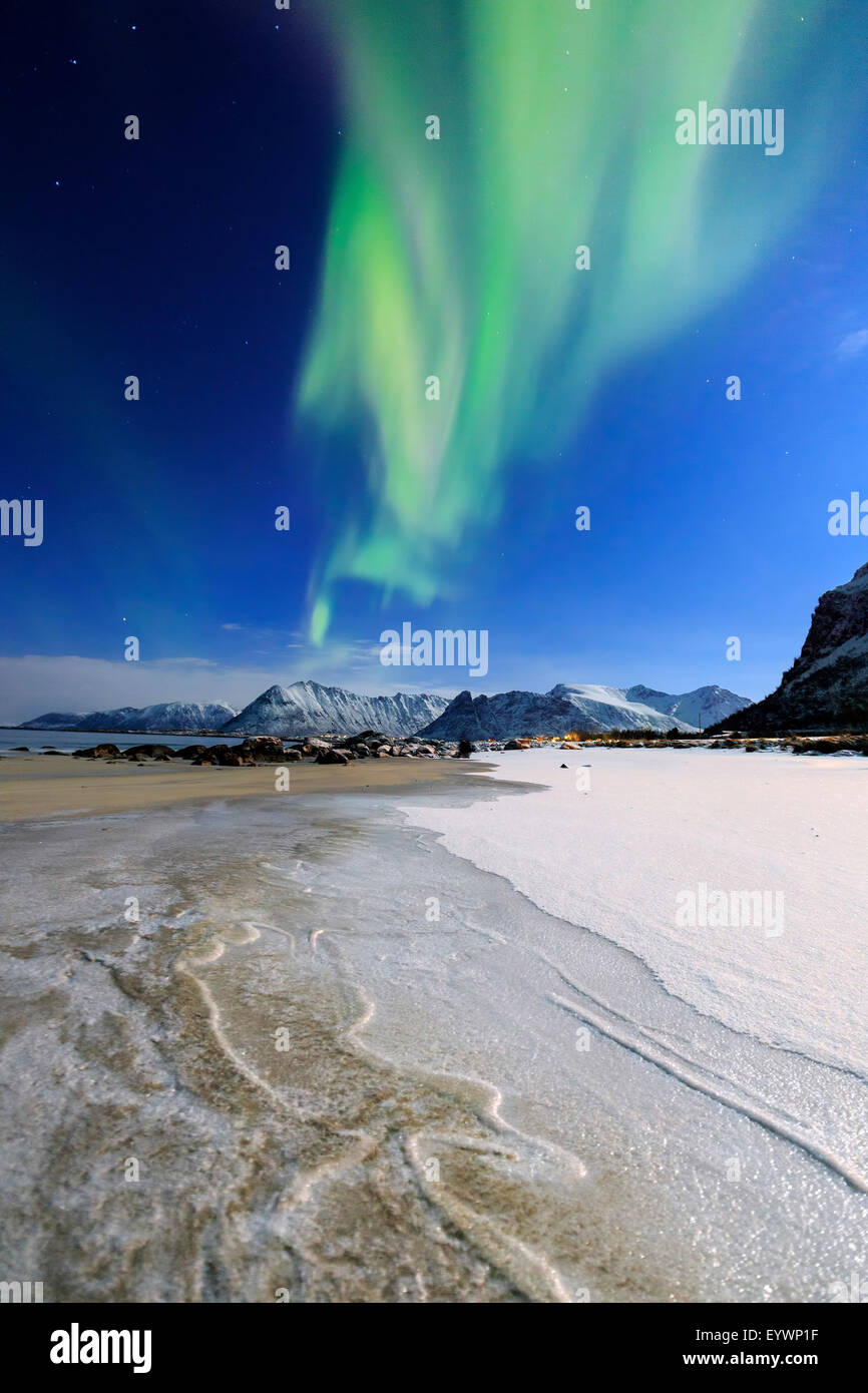 Luci del nord (aurora boreale) sul cielo Gymsoyan, Gimsoy, Isole Lofoten artico, Norvegia, Scandinavia, Europa Foto Stock