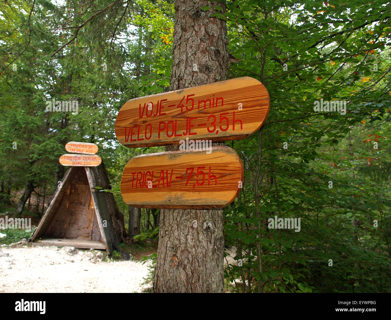 Segni di legno per le direzioni per vari percorsi di montagna nel Parco Nazionale del Triglav. La Slovenia. Foto Stock