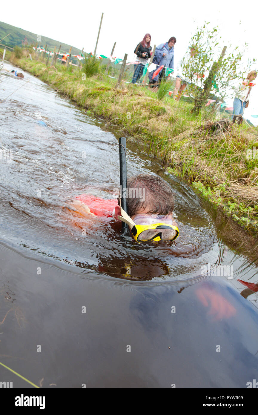 World Bogsnorkelling Championships, avvengono a Waen Rhydd Bog in Cambriano montagne, Powys, Wales, Regno Unito Foto Stock