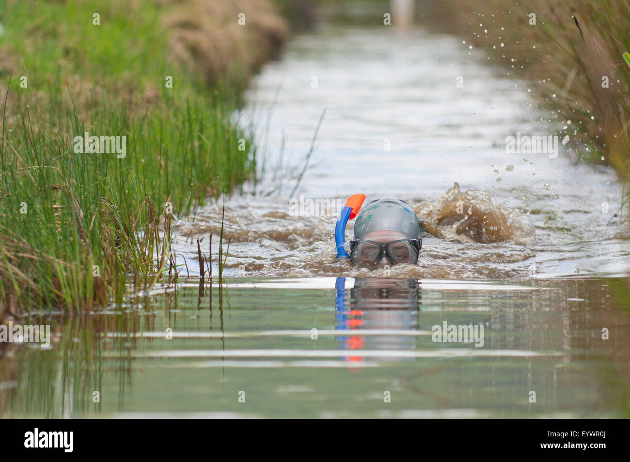 World Bogsnorkelling Championships, avvengono a Waen Rhydd Bog in Cambriano montagne, Powys, Wales, Regno Unito Foto Stock