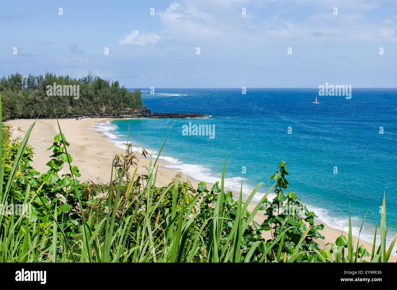 Waikoko Beach, Kauai, Hawaii, Stati Uniti d'America, il Pacifico Foto Stock