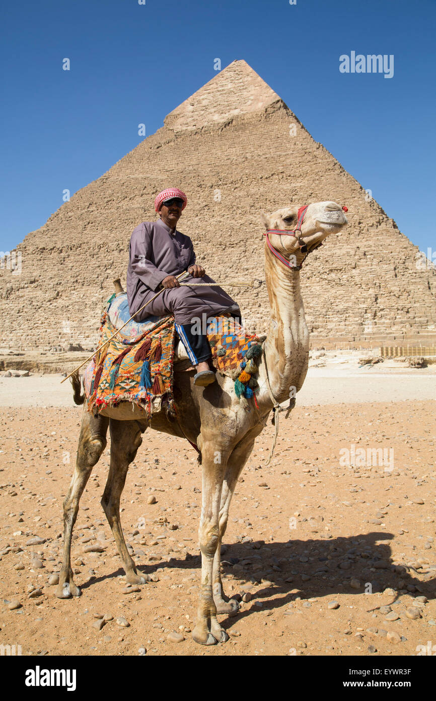 Uomo locale sul cammello davanti alla Piramide di Chephren, le Piramidi di Giza, UNESCO, Giza, vicino a Il Cairo, Egitto, Africa Settentrionale, Africa Foto Stock
