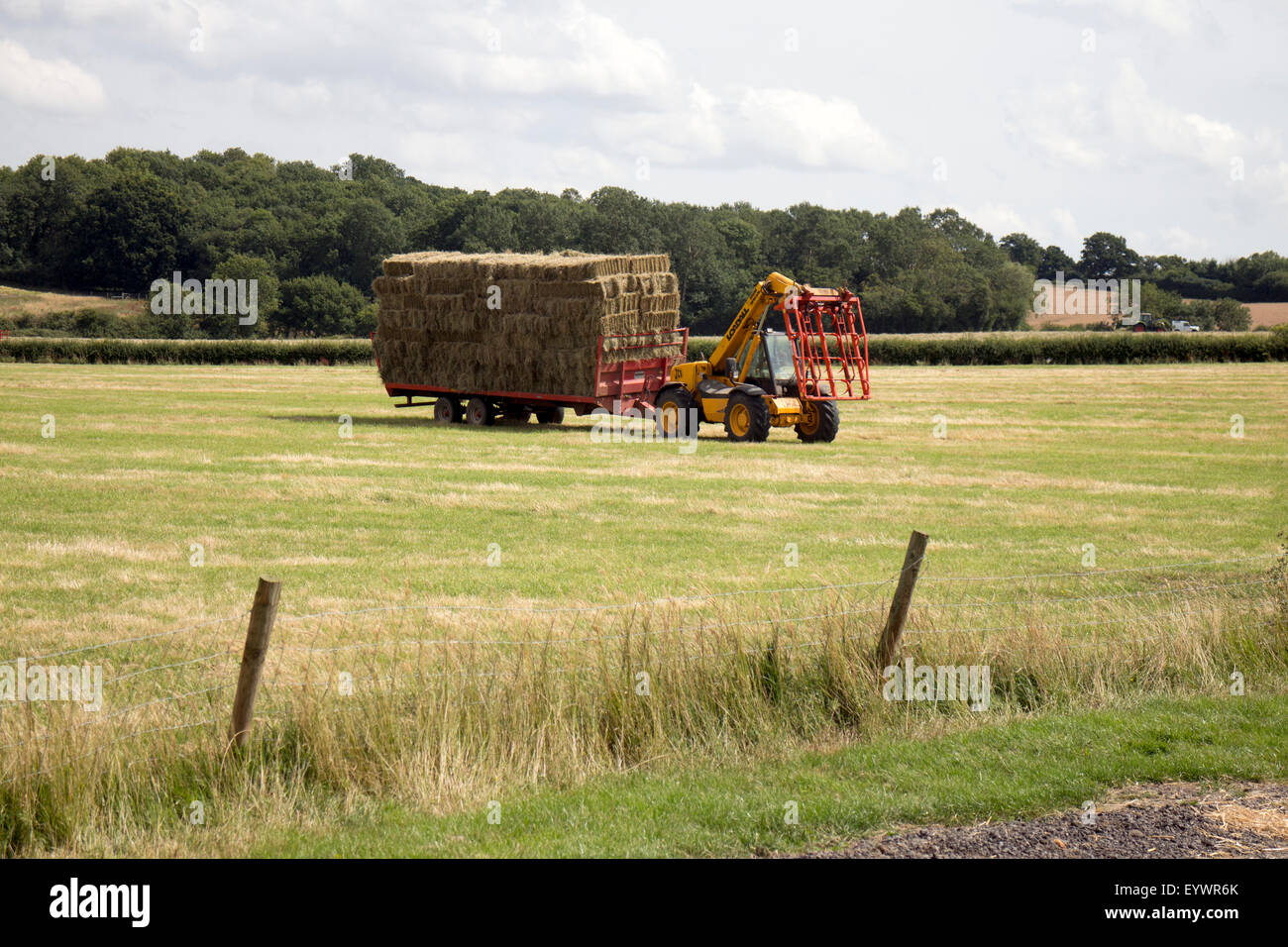 JCB Loadall trattore con carico di balle di fieno, Warwickshire, Regno Unito Foto Stock