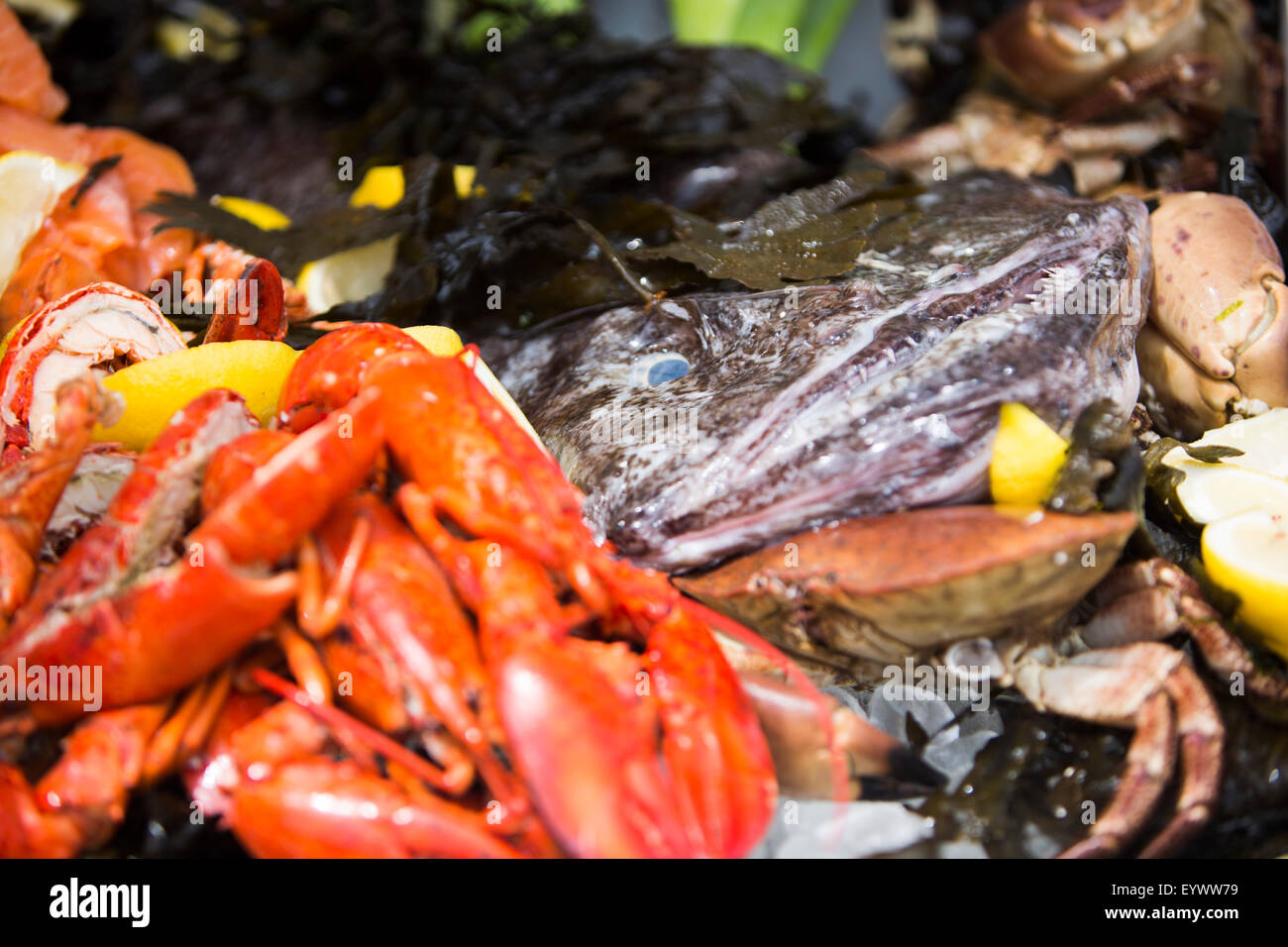 Dettagli dal piatto di frutti di mare. Rana pescatrice con aragosta, salmone affumicato, granchio, alghe e spicchi di limone. Foto Stock