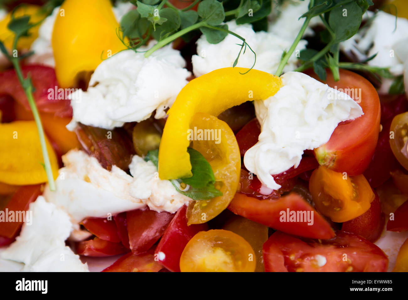 Mozzarella di bufala, il pomodoro e il peperone giallo insalata con nasturtium guarnire. Foto Stock