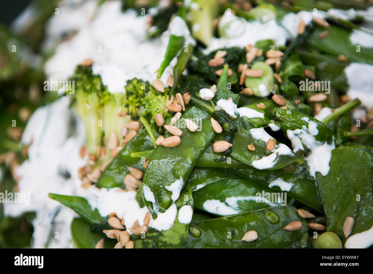 Gestire tout, broccoli, olio di semi di girasole insalata con un condimento di yogurt. Foto Stock
