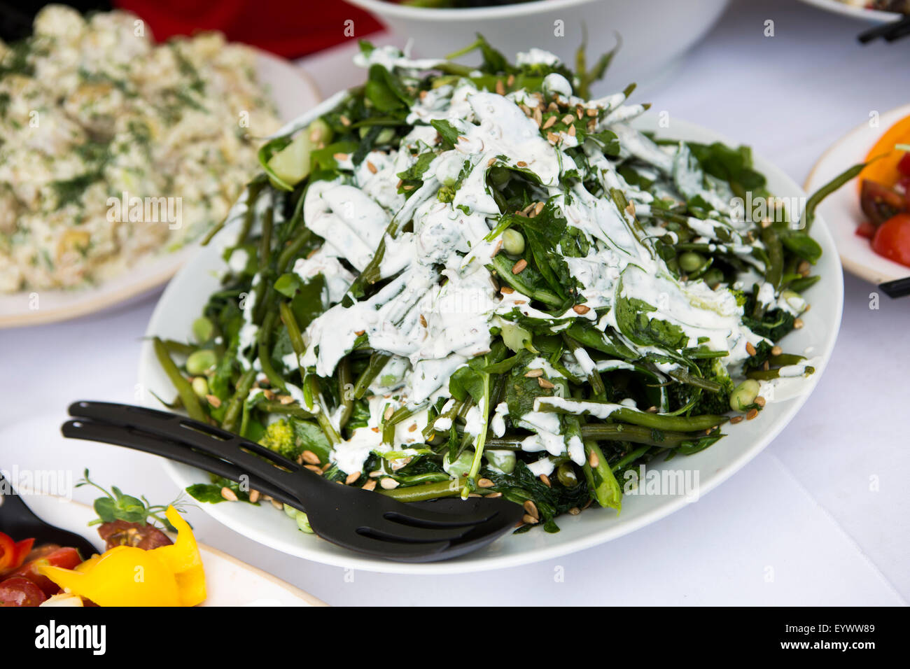 Gestire tout, broccoli, olio di semi di girasole insalata con un condimento di yogurt. Foto Stock