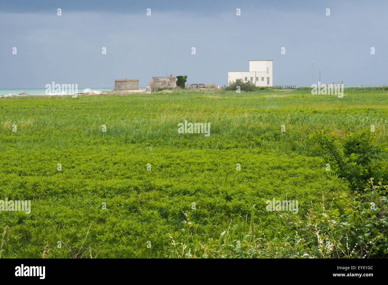 Impianto di trattamento delle acque della costa adriatica, Molise, Italia. Foto Stock