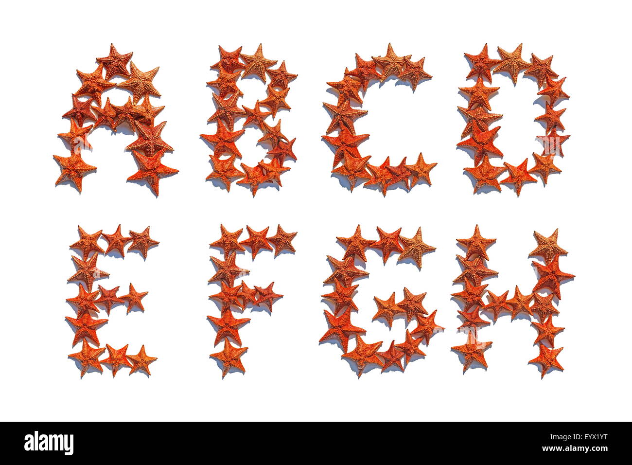 Alfabeto lettere fatte di reale starfish isolati su sfondo bianco, lettere da A ad H, parte 1 di 3 Foto Stock