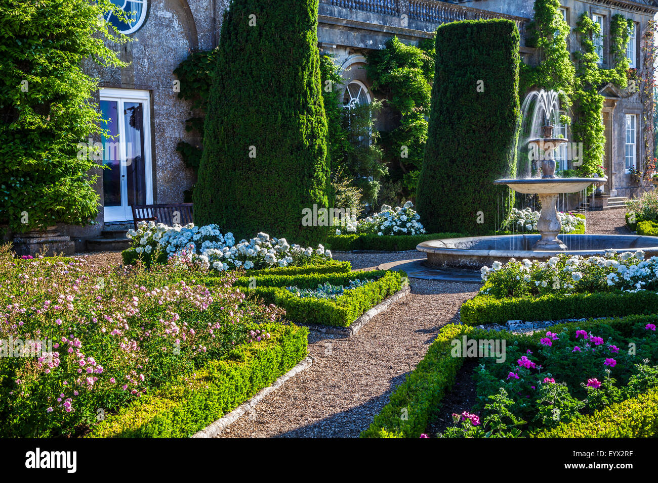 Rose e una fontana sulla terrazza della struttura Bowood House nel Wiltshire. Foto Stock