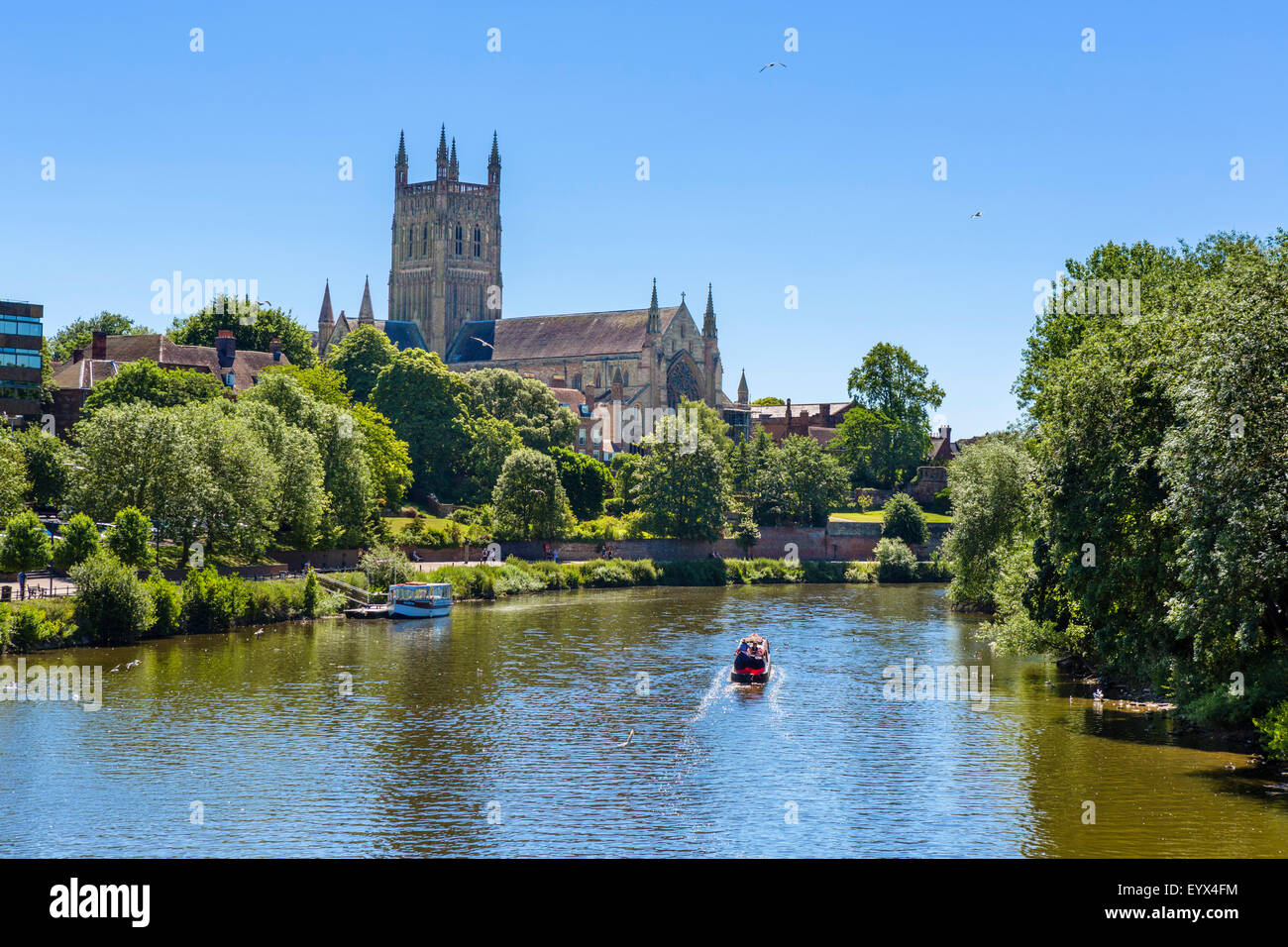 Cattedrale di Worcester e il fiume Severn da Worcester Bridge, Worcester, Worcestershire, England, Regno Unito Foto Stock