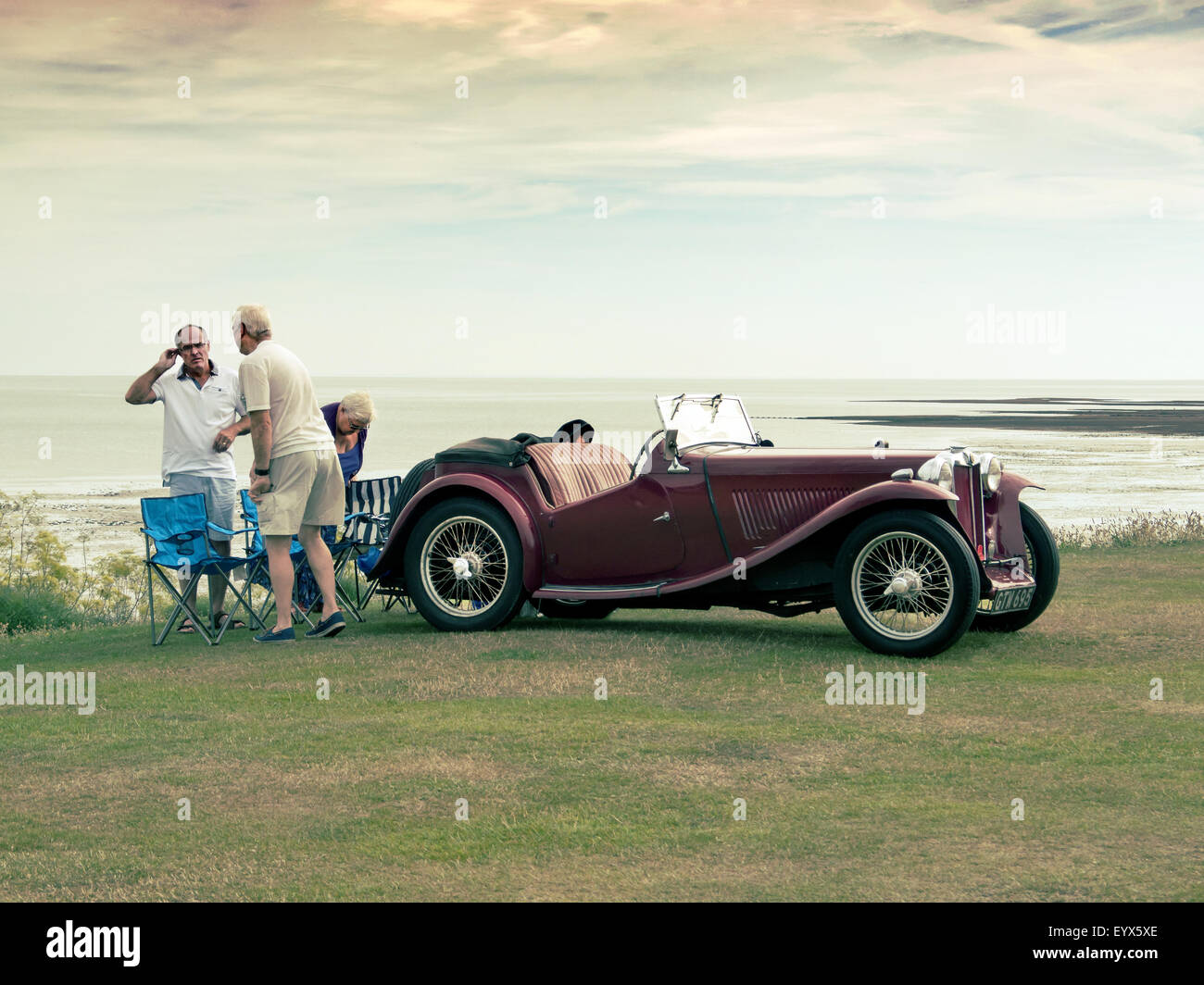 Collezionisti gatti sul display a Whitstable Classic Car Show 2015 Foto Stock