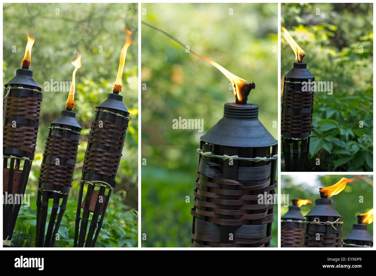Il bambù citronella torce per repell zanzare ed altri insetti Foto stock -  Alamy