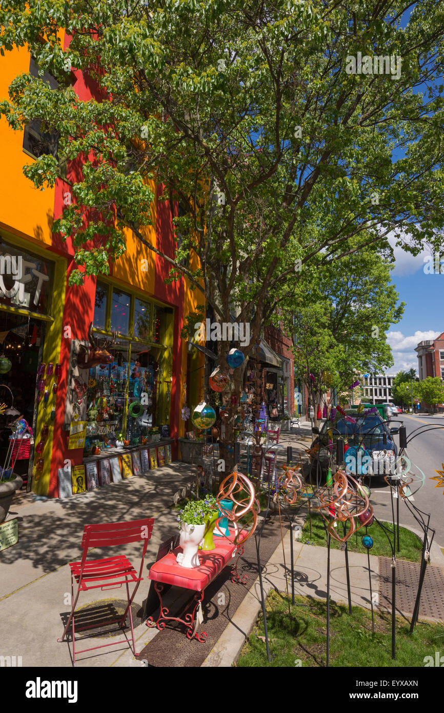L.O.F.T. VENDITA MARCIAPIEDE BROADWAY CENTRO DI ASHEVILLE BUNCOMBE COUNTY NORTH CAROLINA USA Foto Stock