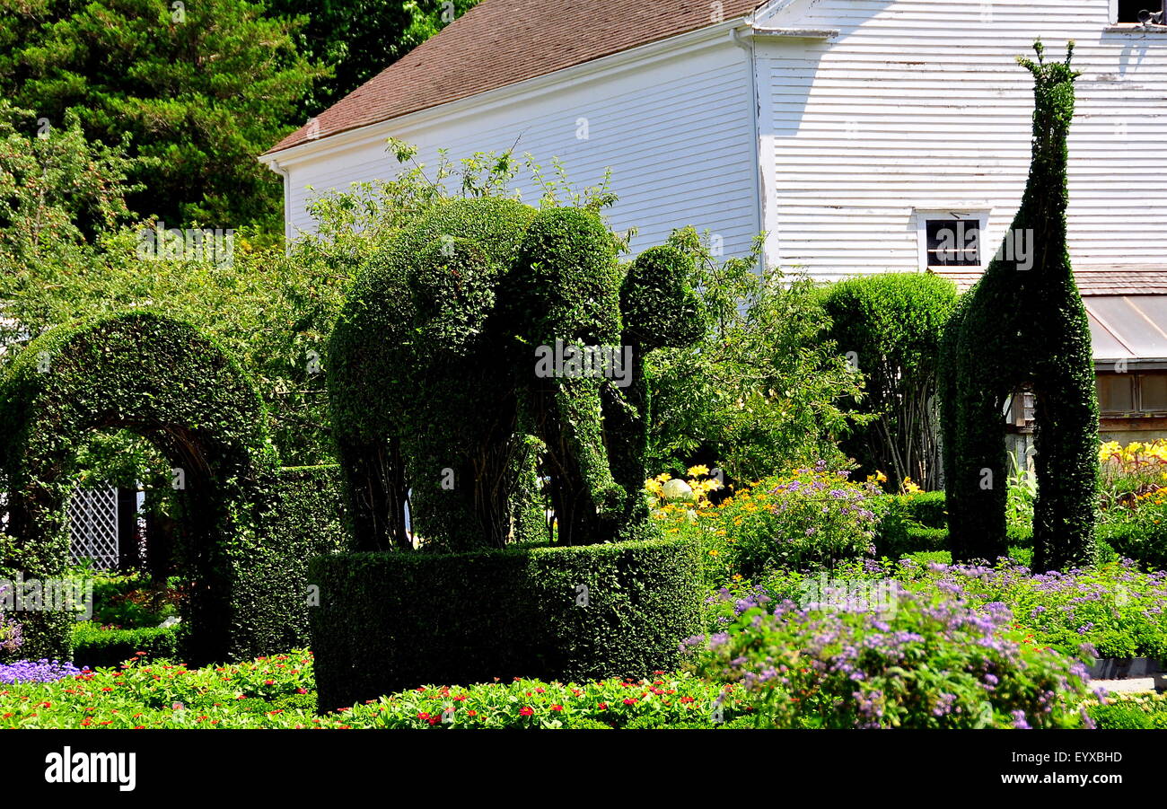 Portsmouth, Rhode Island: Topiaria da archway, elefanti e giraffe al verde Topiaria da animali giardini creato tra 1905-1945 Foto Stock