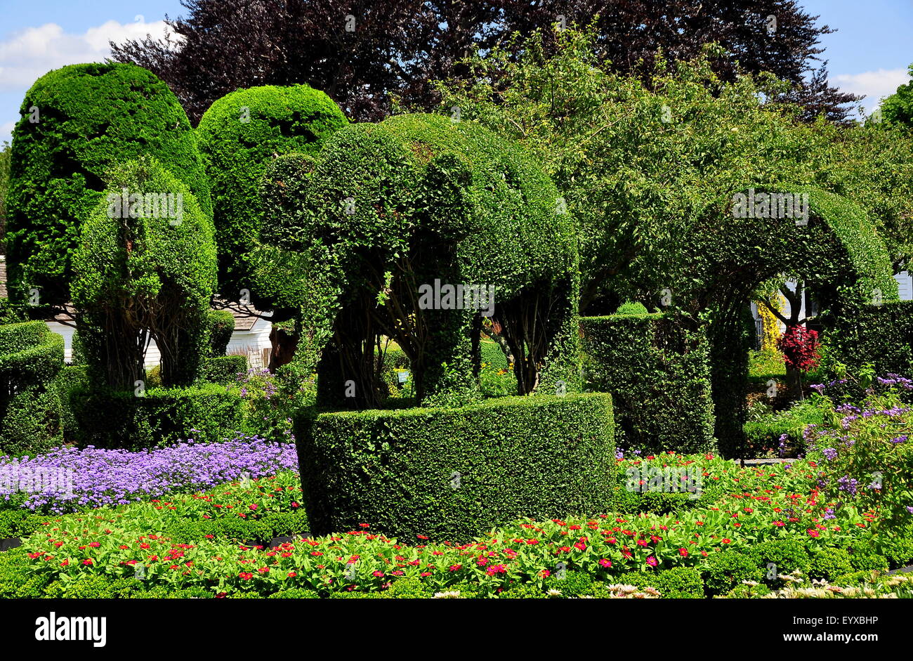 Portsmouth, RI: un cammello (sinistra), elefante (centro), e arrotondata arch creato tra 1905-1945 a verde Topiaria da animali Gardens Foto Stock