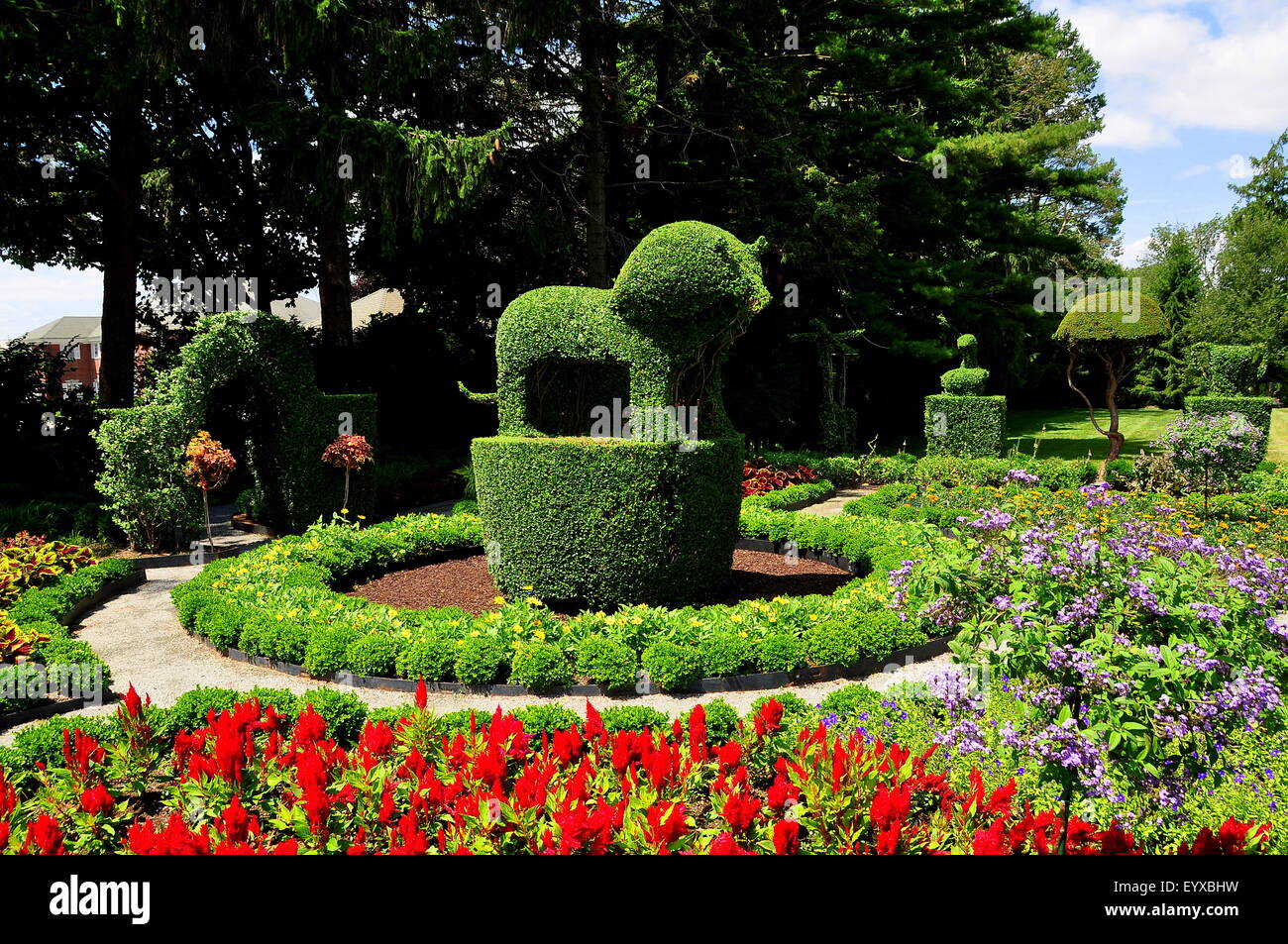 Portsmouth, Rhode Island: un regal topiaria da lion circondato da piante annue colorati in verde Topiaria da animali Gardens Foto Stock