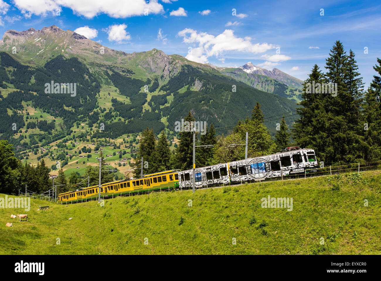 Swiss ferrovia di montagna da Grindelwald a Kleine Scheidegg Foto Stock